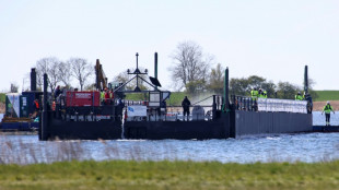 Buckelwal in offene Nordsee gebracht - Weiterer Verbleib aber zun&auml;chst unklar