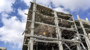 Clases de boxeo en Gaza permiten a las j&oacute;venes desahogarse de la guerra