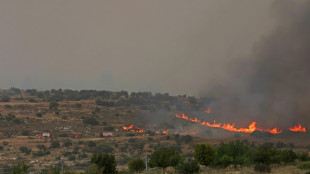 Israel reabre carreteras cerradas por incendio cerca de Jerusalén que sigue activo