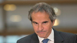 Offensive ukrainienne: le chef de l'AIEA visite la centrale nucl&eacute;aire russe de Koursk