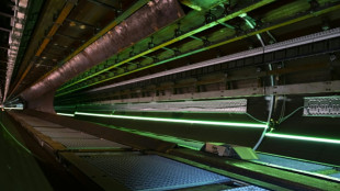Unternehmen: Geschwindigkeitsrekord bei Hyperloop-Testfahrt in den Niederlanden