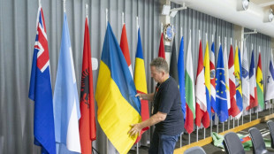 Deux jours de Sommet pour la paix en Ukraine avec des ambitions mesur&eacute;es