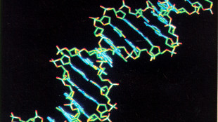Tumori, accertata la superiorità delle terapie personalizzate