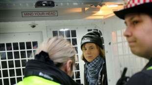 Greta Thunberg arr&ecirc;t&eacute;e &agrave; Londres lors d'une manifestation en soutien &agrave; Palestine Action