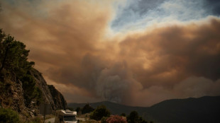 Vuelven a casa 2.000 personas que fueron evacuadas por un incendio en Espa&ntilde;a