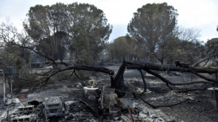 Miles de campistas evacuados por un incendio en el sudeste de Francia, cerca de Espa&ntilde;a