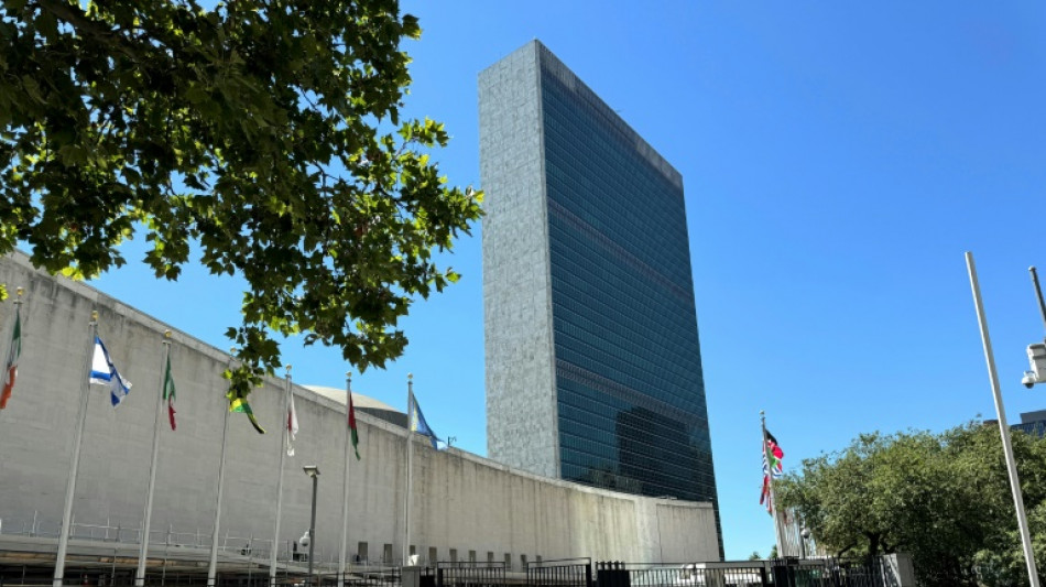 Tratado contra la cibercriminalidad en la recta final en la ONU pese a cr&iacute;ticas