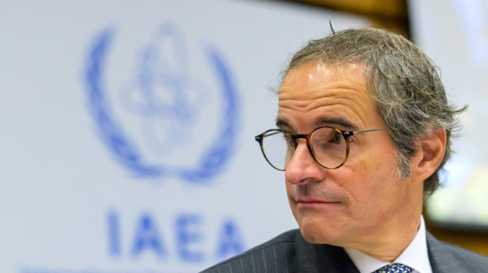 Ir&atilde; convida diretor da AIEA para confer&ecirc;ncia em maio