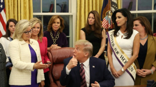 US-Wahlkampf: Harris und Trump mobilisieren alle Kr&auml;fte f&uuml;r den Endspurt