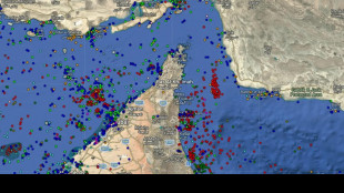 Pasdaran, 'petroliera in fiamme a Hormuz, altre due fanno dietrofront'