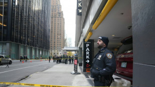 Le patron d'un g&eacute;ant de l'assurance sant&eacute; tu&eacute; par balle en plein coeur de New York