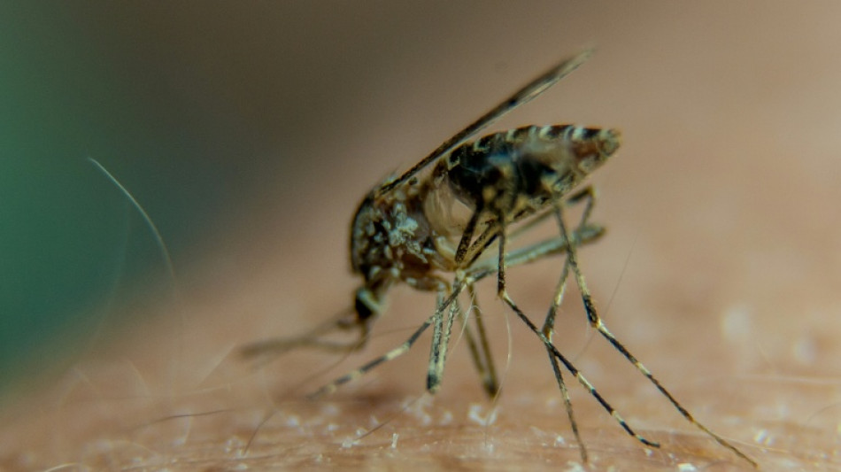 &iquest;Por qu&eacute; los mosquitos pican m&aacute;s a unas personas que a otras?
