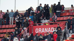 Espagne: le match Grenade-Athletic Bilbao arr&ecirc;t&eacute; apr&egrave;s la mort d'un supporter