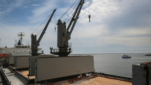 Constanta, port roumain providentiel pour les c&eacute;r&eacute;ales ukrainiennes