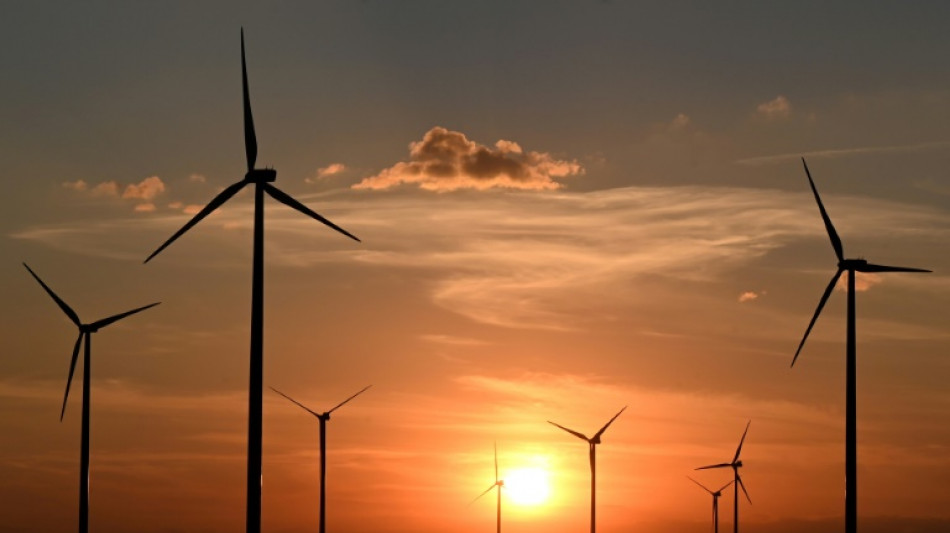 Bericht: Ampel-Regierung hat Windenenergie-Nutzung nicht deutlich erh&ouml;ht