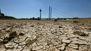 Face &agrave; l'ass&egrave;chement de ses cours d'eau, l'Allemagne divis&eacute;e entre ing&eacute;nierie et respect de la nature