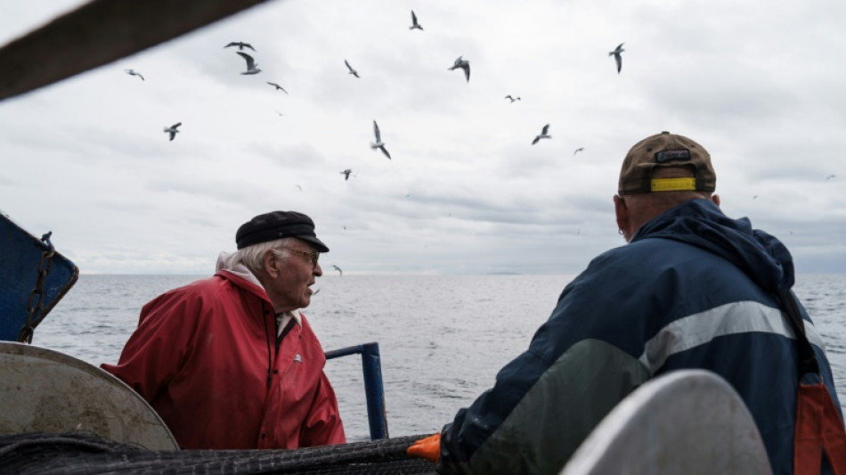 Dans la mer Baltique, le hareng menac&eacute; par le r&eacute;chauffement des eaux