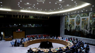 Gaza: pression sur les Américains au Conseil de sécurité de l'ONU
