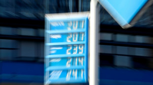 Kartellamt: Spritpreise bis 10.00 Uhr um circa 14 Cent gesunken 