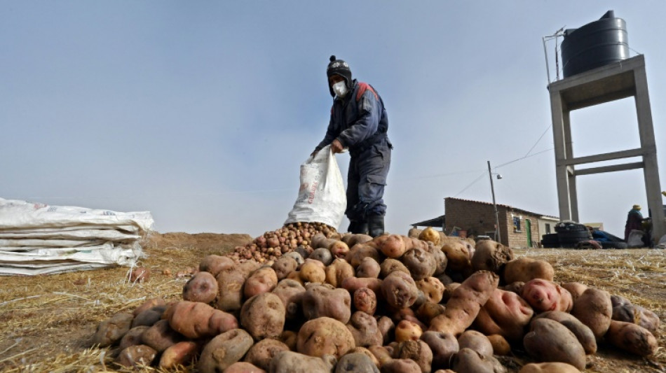 Cara y cruz de China en Am&eacute;rica Latina: dinero y deterioro ecol&oacute;gico (informe)