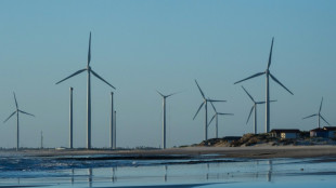 Brasil licitar&aacute; sus primeros parques e&oacute;licos marinos para octubre, seg&uacute;n el gobierno