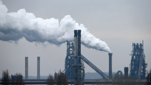 Britische Regierung will Kontrolle über Stahlwerk von British Steel übernehmen