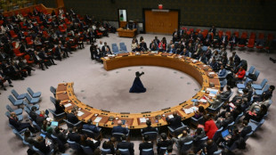 Rusia y China vetan en el Consejo de Seguridad la resoluci&oacute;n de EEUU para tregua en Gaza