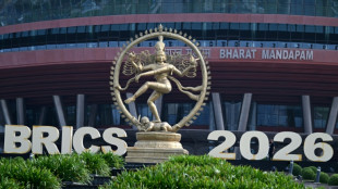 BRICS nations urge 'maximum restraint' in Middle East war