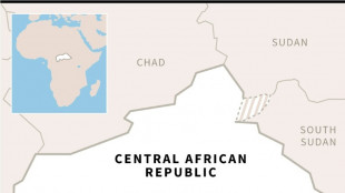 Bomb wounds Russian in C.Africa, France denies claim it was responsible