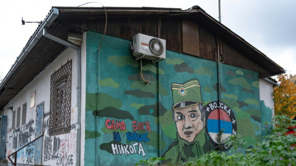 Mladic, punks et Kosovo : les murs de Belgrade, livre d'histoire à ciel ouvert