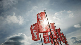 Kampf gegen rechts: Linke stimmt sich auf Parteitag auf hei&szlig;e Wahlkampfphase ein