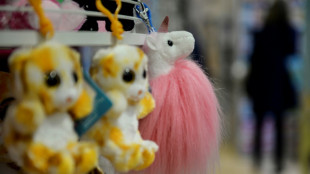 Plus de 225.000 jouets "dangereux" d&eacute;truits en 2023 en France (DGCCRF)