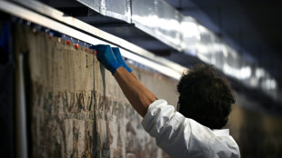 Bayeux Tapestry begins epic journey from France to London: source