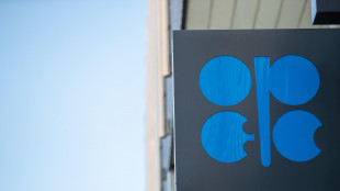 Opec+ conferma lo status quo, produzione di petrolio resta invariata