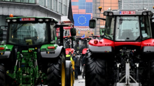 Simplification des r&egrave;gles de la PAC: l'UE sonde les agriculteurs 