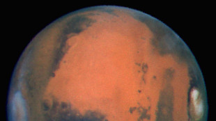 Marte era abitabile, trovati grandi depositi di carbonio