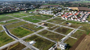 Ifo-Umfrage: Fast die H&auml;lfte der Baufirmen klagt &uuml;ber Auftragsmangel 
