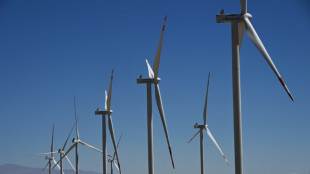 Hydrog&egrave;ne vert: le Chili vient en Europe chercher des investisseurs