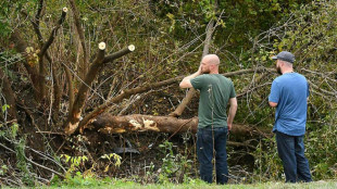 Hallan culpable del accidente que dej&oacute; 20 muertos al gerente de una empresa de limusinas en EEUU