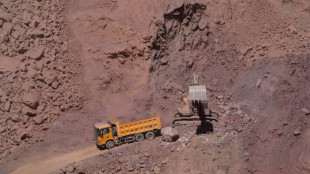 Dans les mines d'Asie centrale, course mondiale aux m&eacute;taux rares