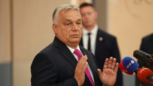 Renforcé par Trump, le Hongrois Orban compte ses troupes pour les législatives