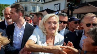 Wahlkampf als "Geisel": Scharfe Kritik in Frankreich an Le Pens Kandidatur