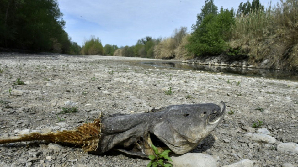 Pyr&eacute;n&eacute;es-Orientales: alerte s&eacute;cheresse maximale, restrictions et sanctions