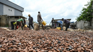 Le cacao d&eacute;passe 10.000 dollars la tonne, un nouveau record avant P&acirc;ques