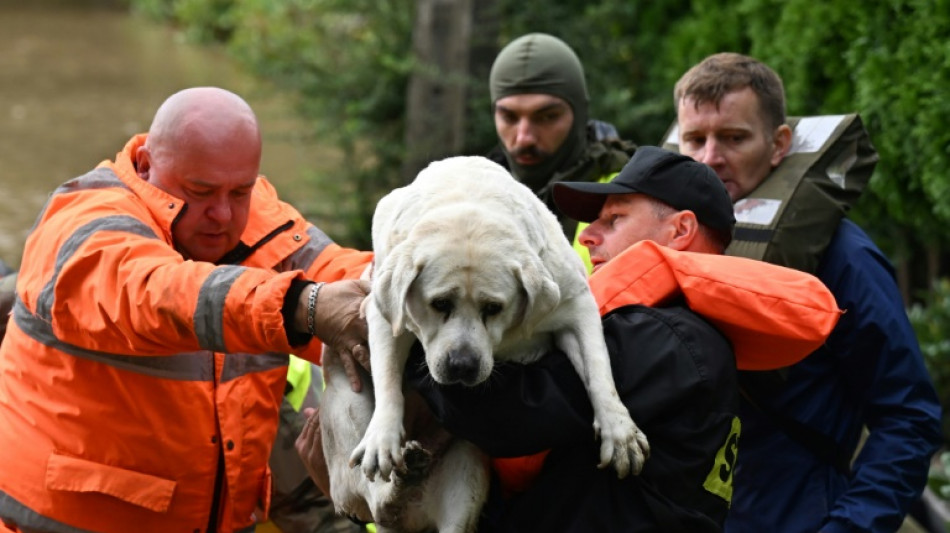 Dans le sillage de la temp&ecirc;te Boris, un paysage de d&eacute;solation