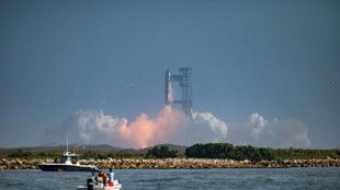 Starbase, una ciudad al pie de la base espacial de Musk y al lado de refugios silvestres
