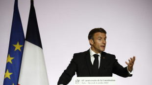 France's Macron promises more referendums