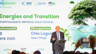 Confartigianato, con AI 50% consumi in pi&ugrave; in quattro anni