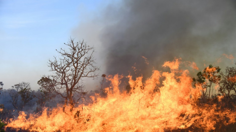 Gran incendio afecta Parque Nacional de Brasilia, favorecido por sequ&iacute;a