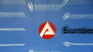 Arbeitskräftenachfrage stabilisiert sich im November - aber auf niedrigem Niveau